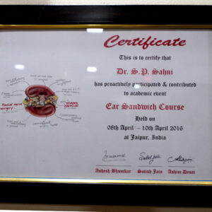 Certificate In Ear Sandwich Course